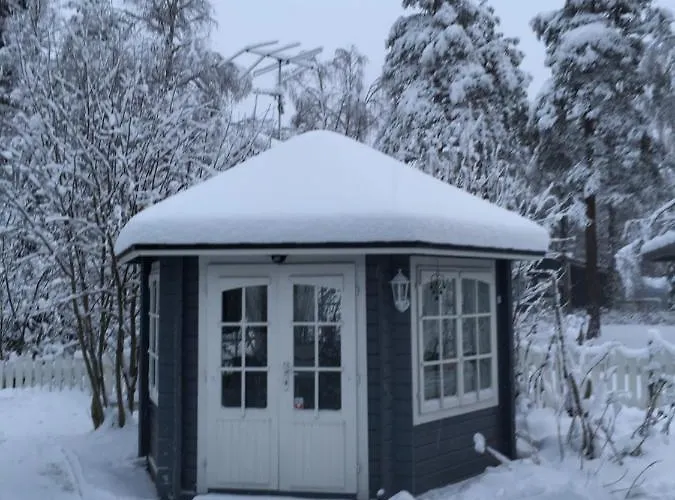 Aurora Center 3 * רובניימי